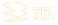 TBI